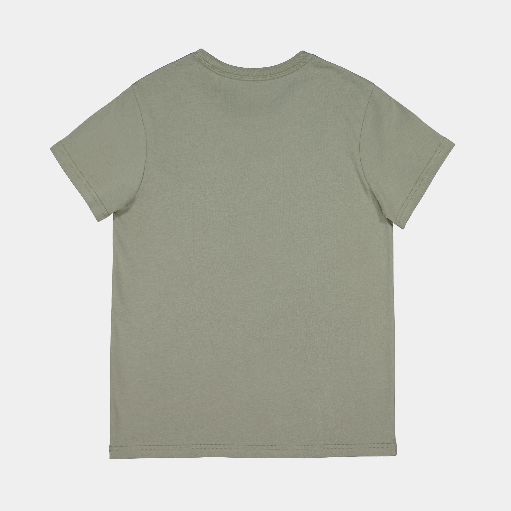 Pistachio Womens Basis Short Sleeve Tee