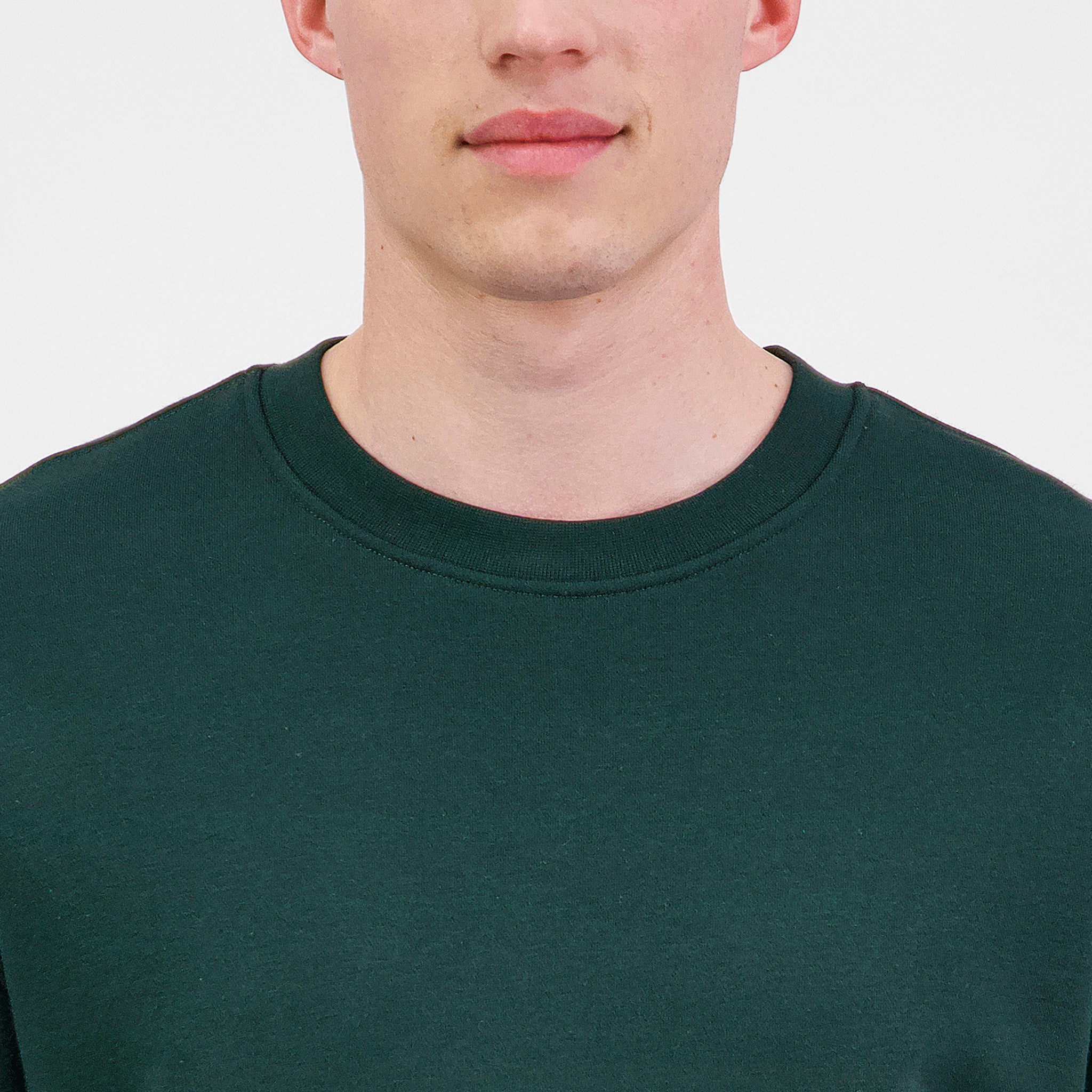 Scarab Green Mens Everyday Crew Sweatshirt
