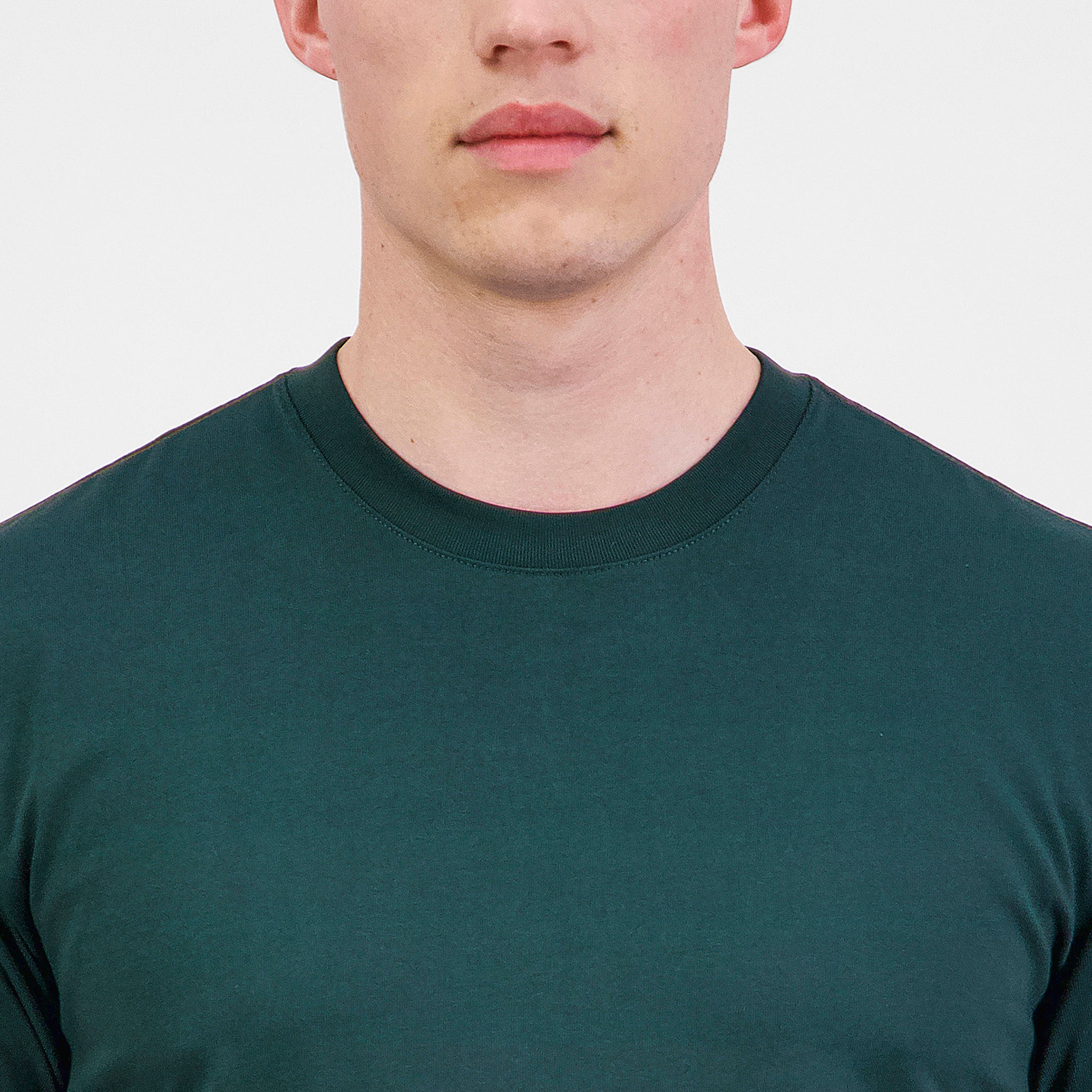 Scarab Green Mens Everyday Short Sleeve Tee